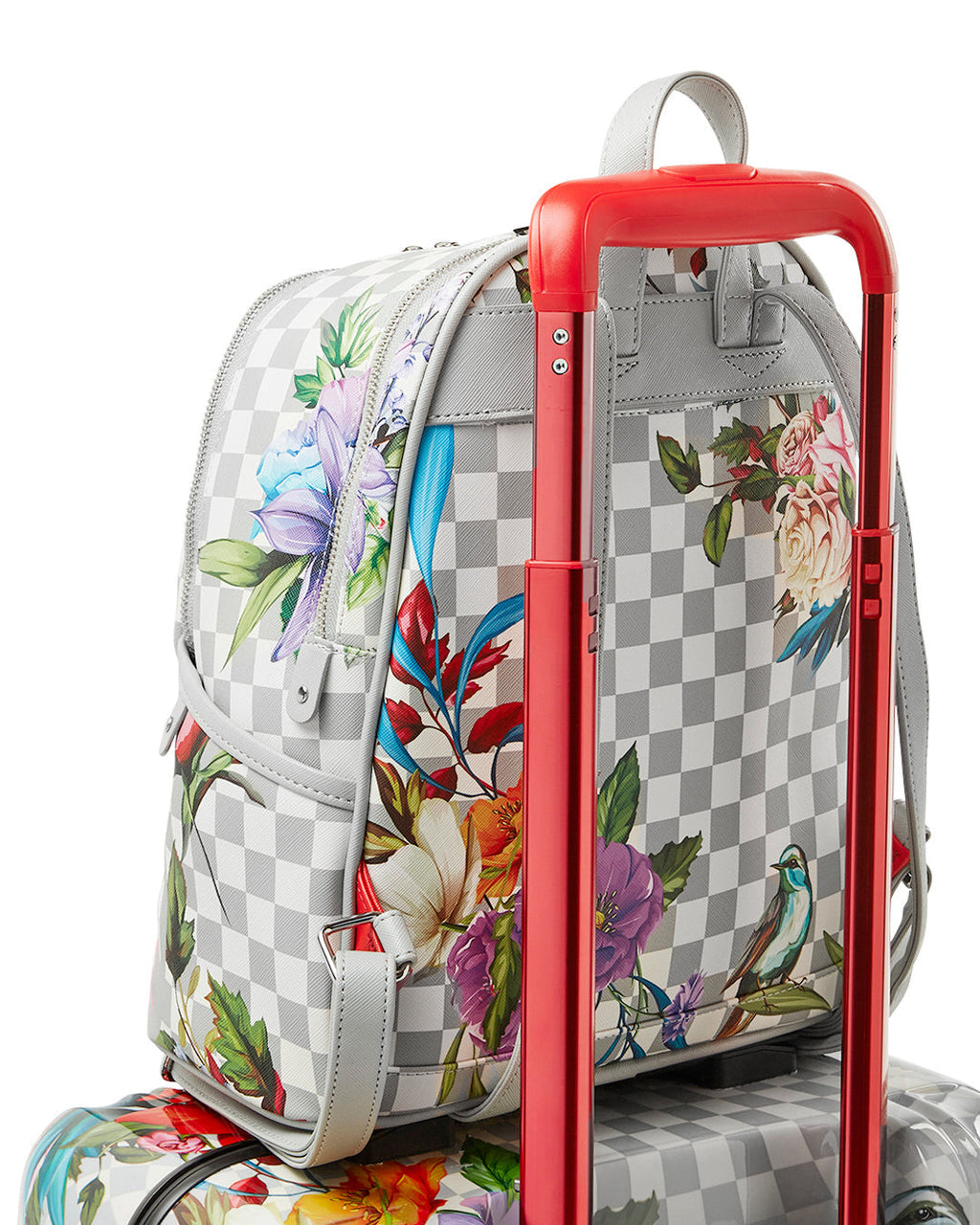 JARDIN DU PALAIS SHARKNAUTICS HARDSHELL CARRY-ON LUGGAGE